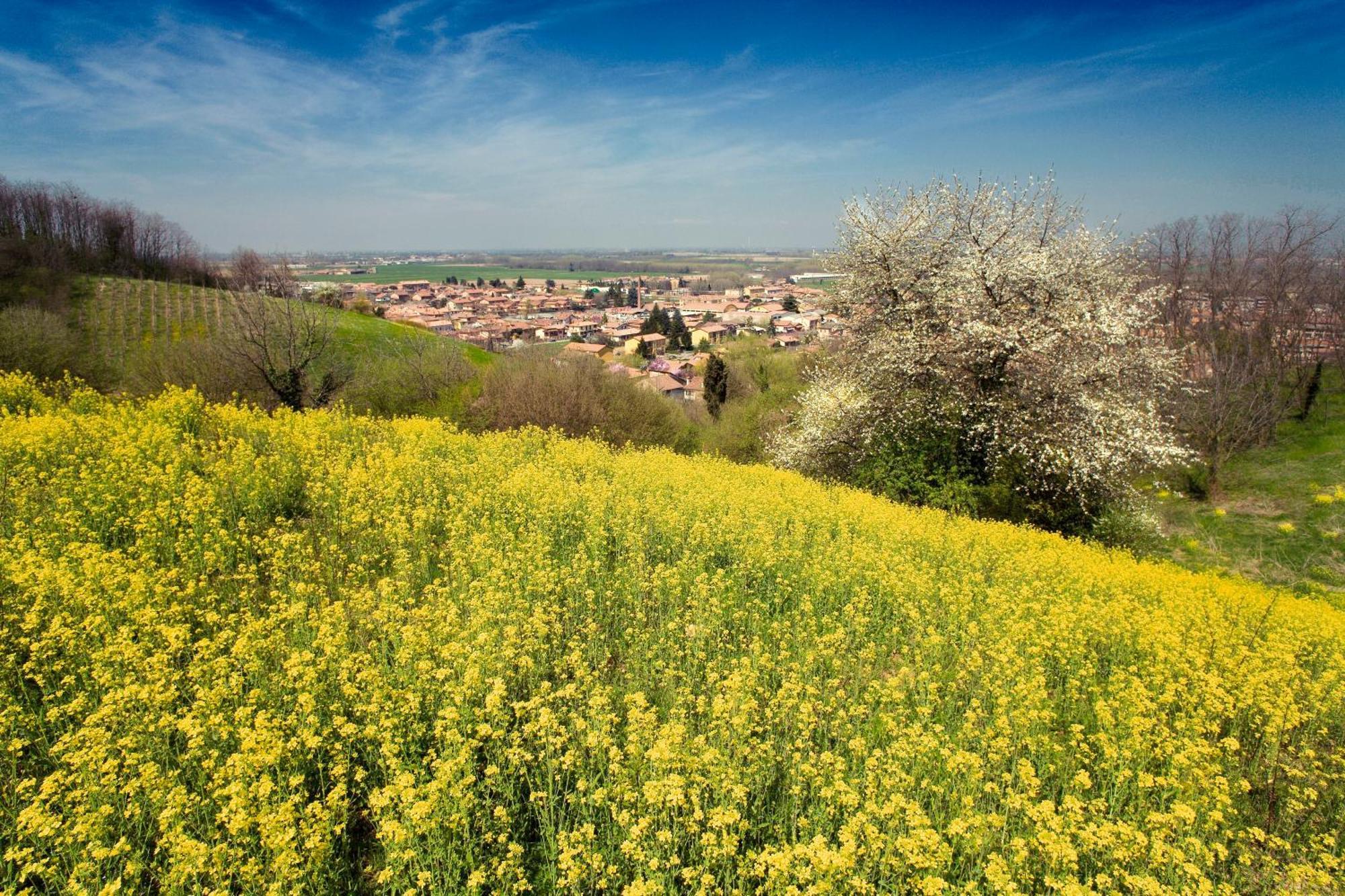 Bed & Breakfast Sforza 19 San Colombano al Lambro Bagian luar foto