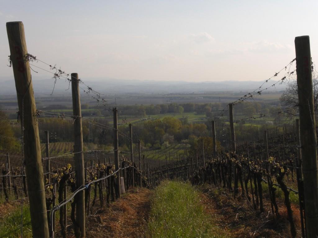 Bed & Breakfast Sforza 19 San Colombano al Lambro Bagian luar foto